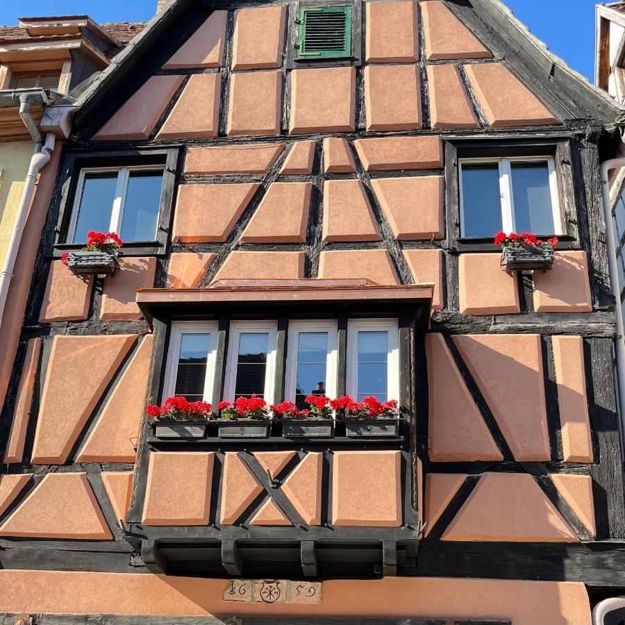 Gite Edelweiss à Eguisheim Esterno foto