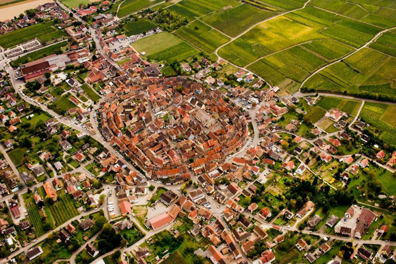 Gite Edelweiss à Eguisheim Esterno foto