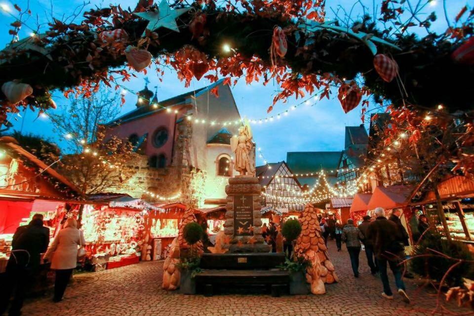 Gite Edelweiss à Eguisheim Esterno foto