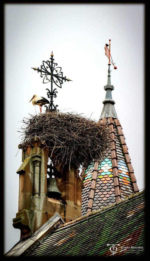 Gite Edelweiss à Eguisheim Esterno foto