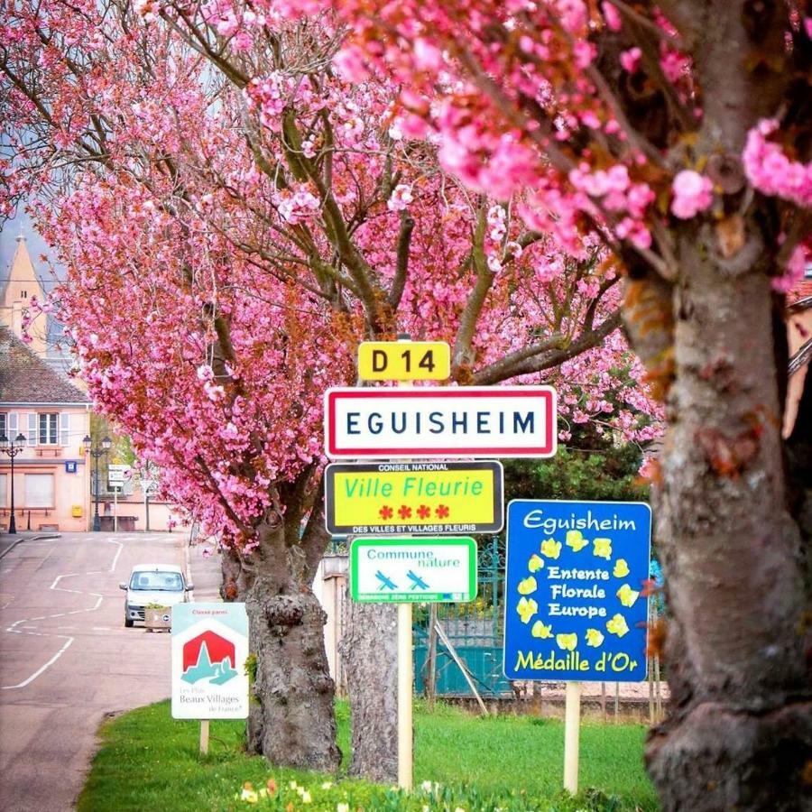 Gite Edelweiss à Eguisheim Esterno foto
