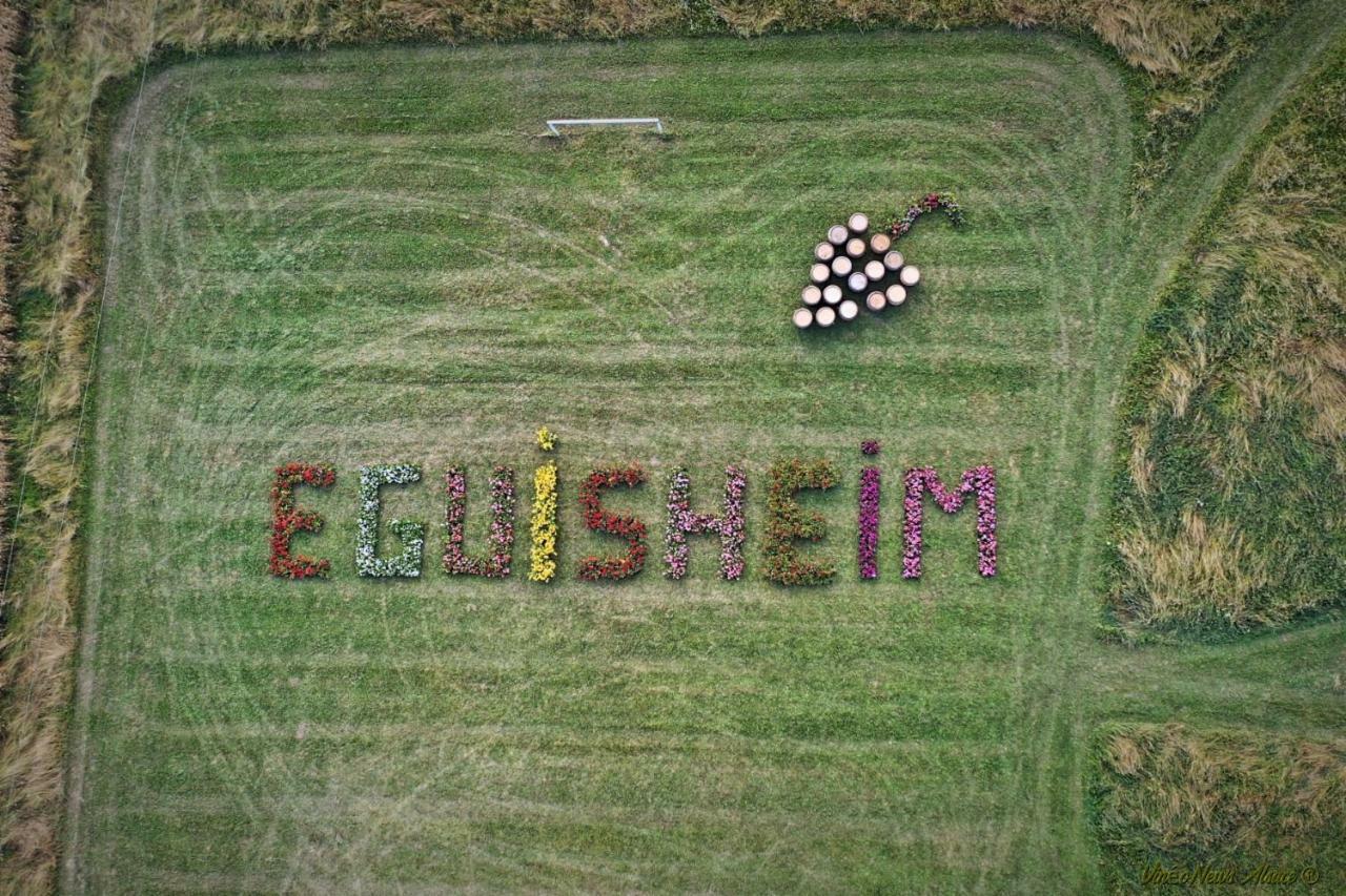 Gite Edelweiss à Eguisheim Esterno foto